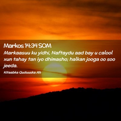 Picture 02 - Markos 14:34 SOM - Markaasuu ku yidhi, Naftaydu aad bay u calool xun - Bible Verse Picture