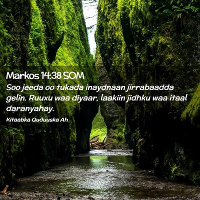 Picture 02 - Markos 14:38 SOM - Soo jeeda oo tukada inaydnaan jirrabaadda gelin. - Bible Verse Picture