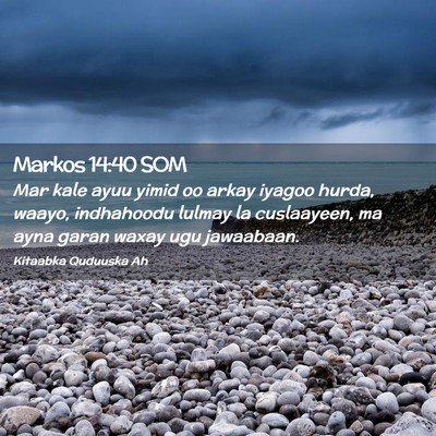 Picture 02 - Markos 14:40 SOM - Mar kale ayuu yimid oo arkay iyagoo hurda, waayo, - Bible Verse Picture