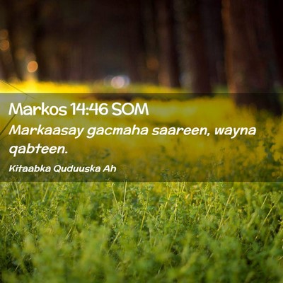 Picture 02 - Markos 14:46 SOM - Markaasay gacmaha saareen, wayna - Bible Verse Picture
