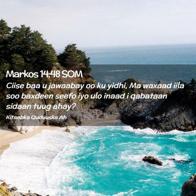 Picture 02 - Markos 14:48 SOM - Ciise baa u jawaabay oo ku yidhi, Ma waxaad iila - Bible Verse Picture