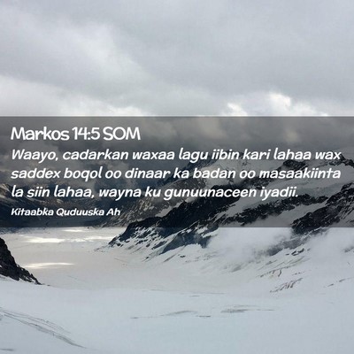 Picture 02 - Markos 14:5 SOM - Waayo, cadarkan waxaa lagu iibin kari lahaa wax - Bible Verse Picture