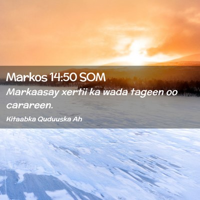 Picture 02 - Markos 14:50 SOM - Markaasay xertii ka wada tageen oo - Bible Verse Picture