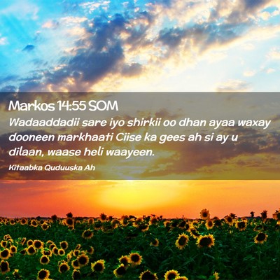 Picture 02 - Markos 14:55 SOM - Wadaaddadii sare iyo shirkii oo dhan ayaa waxay - Bible Verse Picture