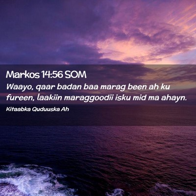 Picture 02 - Markos 14:56 SOM - Waayo, qaar badan baa marag been ah ku fureen, - Bible Verse Picture
