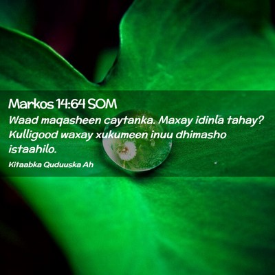 Picture 02 - Markos 14:64 SOM - Waad maqasheen caytanka. Maxay idinla tahay? - Bible Verse Picture