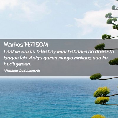 Picture 02 - Markos 14:71 SOM - Laakiin wuxuu bilaabay inuu habaaro oo dhaarto - Bible Verse Picture