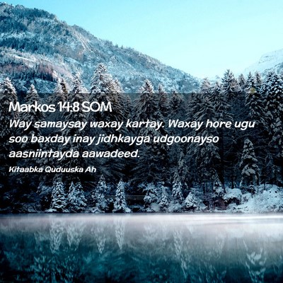 Picture 02 - Markos 14:8 SOM - Way samaysay waxay kartay. Waxay hore ugu soo - Bible Verse Picture
