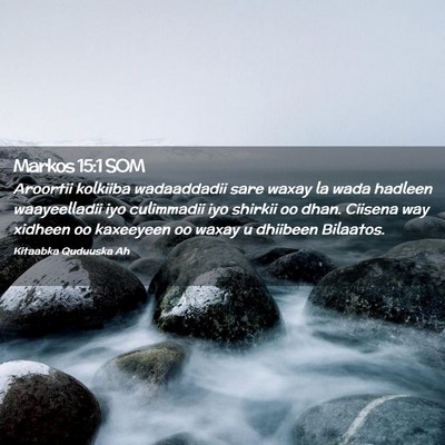 Picture 02 - Markos 15:1 SOM - Aroortii kolkiiba wadaaddadii sare waxay la wada - Bible Verse Picture