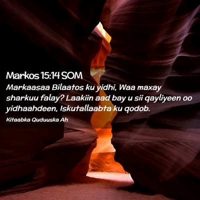 Picture 02 - Markos 15:14 SOM - Markaasaa Bilaatos ku yidhi, Waa maxay sharkuu - Bible Verse Picture