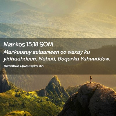Picture 02 - Markos 15:18 SOM - Markaasay salaameen oo waxay ku yidhaahdeen, - Bible Verse Picture