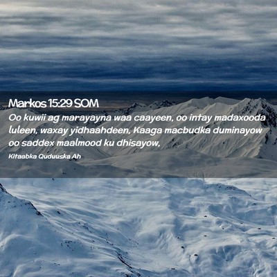 Picture 02 - Markos 15:29 SOM - Oo kuwii ag marayayna waa caayeen, oo intay - Bible Verse Picture