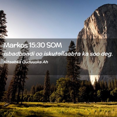 Picture 02 - Markos 15:30 SOM - isbadbaadi oo iskutallaabta ka soo - Bible Verse Picture