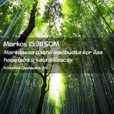 Picture 02 - Markos 15:38 SOM - Markaasaa daahii macbudka kor ilaa hoos laba u - Bible Verse Picture