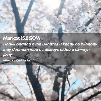Picture 02 - Markos 15:8 SOM - Dadkii badnaa ayaa Bilaatos u kacay oo bilaabay - Bible Verse Picture