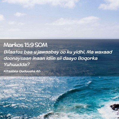 Picture 02 - Markos 15:9 SOM - Bilaatos baa u jawaabay oo ku yidhi, Ma waxaad - Bible Verse Picture