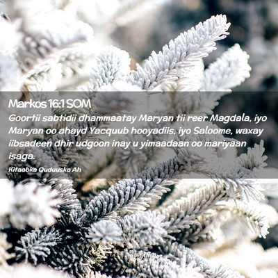 Picture 02 - Markos 16:1 SOM - Goortii sabtidii dhammaatay Maryan tii reer - Bible Verse Picture