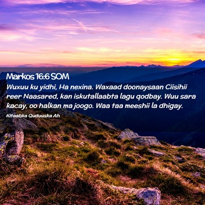 Picture 02 - Markos 16:6 SOM - Wuxuu ku yidhi, Ha nexina. Waxaad doonaysaan - Bible Verse Picture