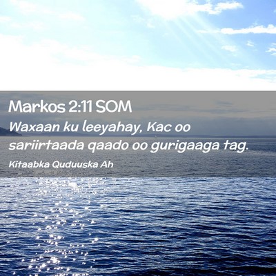 Picture 02 - Markos 2:11 SOM - Waxaan ku leeyahay, Kac oo sariirtaada qaado oo - Bible Verse Picture