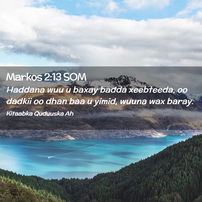 Picture 02 - Markos 2:13 SOM - Haddana wuu u baxay badda xeebteeda, oo dadkii oo - Bible Verse Picture