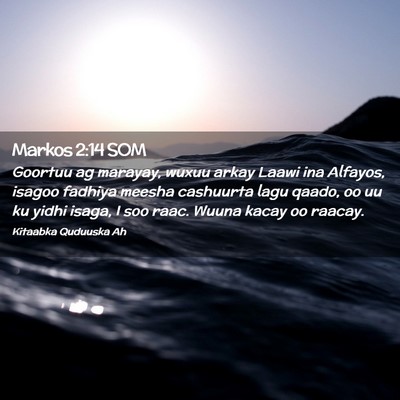 Picture 02 - Markos 2:14 SOM - Goortuu ag marayay, wuxuu arkay Laawi ina - Bible Verse Picture