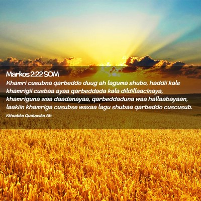Picture 02 - Markos 2:22 SOM - Khamri cusubna qarbeddo duug ah laguma shubo, - Bible Verse Picture