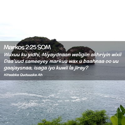 Picture 02 - Markos 2:25 SOM - Wuxuu ku yidhi, Miyaydnaan weligiin akhriyin - Bible Verse Picture