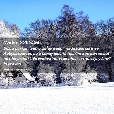 Picture 02 - Markos 2:26 SOM - Siduu guriga Ilaah u galay waagii wadaadkii sare - Bible Verse Picture