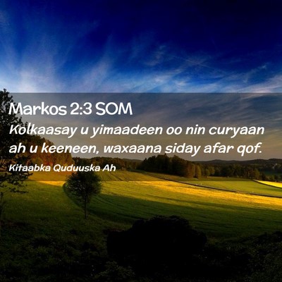 Picture 02 - Markos 2:3 SOM - Kolkaasay u yimaadeen oo nin curyaan ah u - Bible Verse Picture
