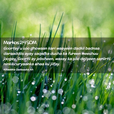 Picture 02 - Markos 2:4 SOM - Goortay u soo dhowaan kari waayeen dadkii badnaa - Bible Verse Picture