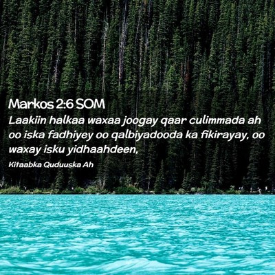 Picture 02 - Markos 2:6 SOM - Laakiin halkaa waxaa joogay qaar culimmada ah oo - Bible Verse Picture