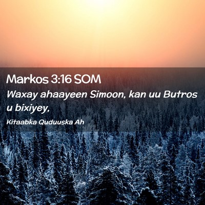 Picture 02 - Markos 3:16 SOM - Waxay ahaayeen Simoon, kan uu Butros u - Bible Verse Picture