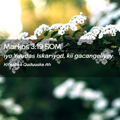 Picture 02 - Markos 3:19 SOM - iyo Yuudas Iskariyod, kii - Bible Verse Picture