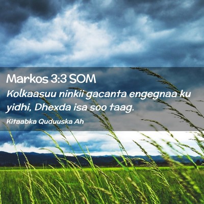 Picture 02 - Markos 3:3 SOM - Kolkaasuu ninkii gacanta engegnaa ku yidhi, - Bible Verse Picture