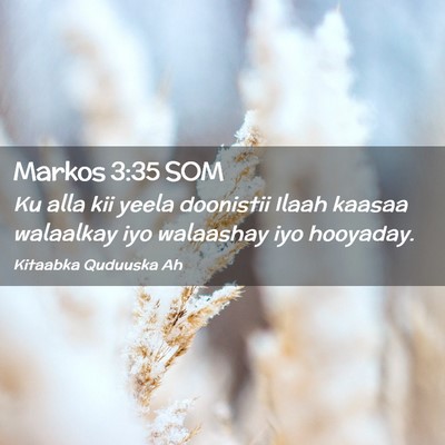 Picture 02 - Markos 3:35 SOM - Ku alla kii yeela doonistii Ilaah kaasaa - Bible Verse Picture