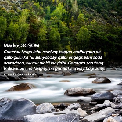 Picture 02 - Markos 3:5 SOM - Goortuu iyaga isha mariyey isagoo cadhaysan oo - Bible Verse Picture