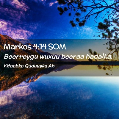 Picture 02 - Markos 4:14 SOM - Beerreygu wuxuu beeraa - Bible Verse Picture