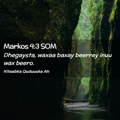 Picture 02 - Markos 4:3 SOM - Dhegaysta, waxaa baxay beerrey inuu wax - Bible Verse Picture