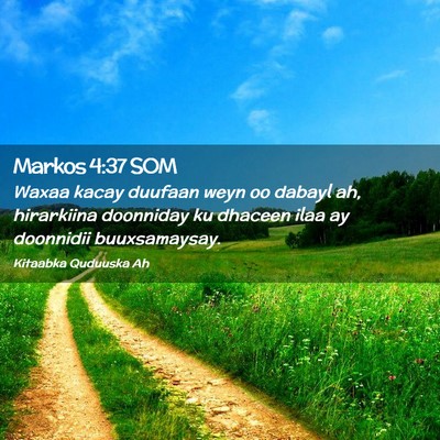 Picture 02 - Markos 4:37 SOM - Waxaa kacay duufaan weyn oo dabayl ah, hirarkiina - Bible Verse Picture