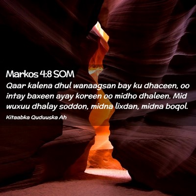 Picture 02 - Markos 4:8 SOM - Qaar kalena dhul wanaagsan bay ku dhaceen, oo - Bible Verse Picture