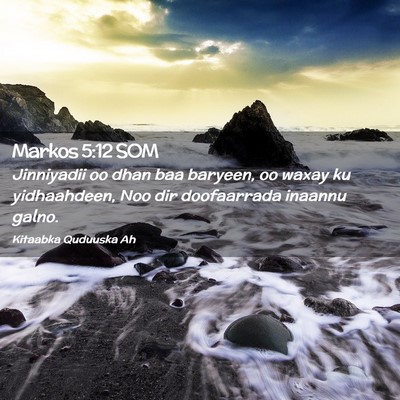 Picture 02 - Markos 5:12 SOM - Jinniyadii oo dhan baa baryeen, oo waxay ku - Bible Verse Picture