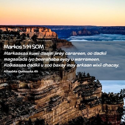 Picture 02 - Markos 5:14 SOM - Markaasaa kuwii daajin jiray carareen, oo dadkii - Bible Verse Picture