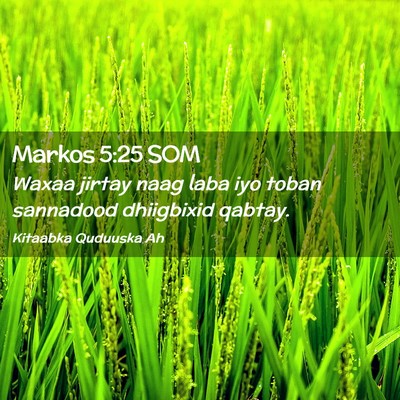 Picture 02 - Markos 5:25 SOM - Waxaa jirtay naag laba iyo toban sannadood - Bible Verse Picture
