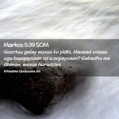 Picture 02 - Markos 5:39 SOM - Goortuu galay wuxuu ku yidhi, Maxaad sidaas ugu - Bible Verse Picture