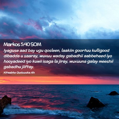 Picture 02 - Markos 5:40 SOM - Iyaguse aad bay ugu qosleen, laakiin goortuu - Bible Verse Picture
