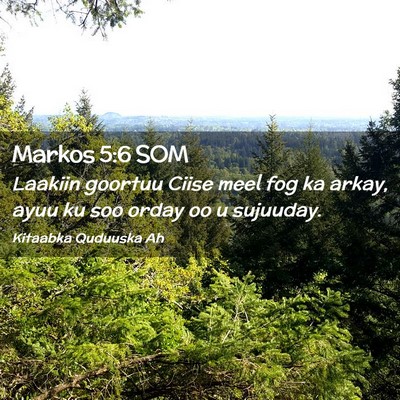 Picture 02 - Markos 5:6 SOM - Laakiin goortuu Ciise meel fog ka arkay, ayuu ku - Bible Verse Picture