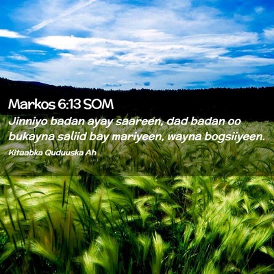 Picture 02 - Markos 6:13 SOM - Jinniyo badan ayay saareen, dad badan oo bukayna - Bible Verse Picture