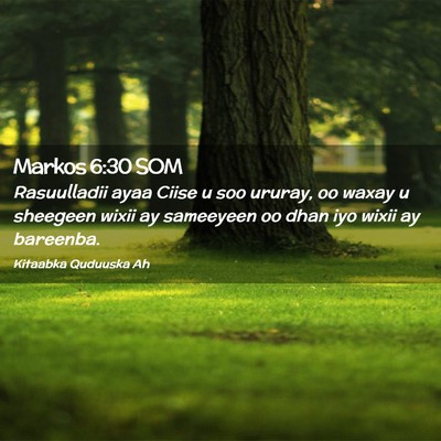 Picture 02 - Markos 6:30 SOM - Rasuulladii ayaa Ciise u soo ururay, oo waxay u - Bible Verse Picture