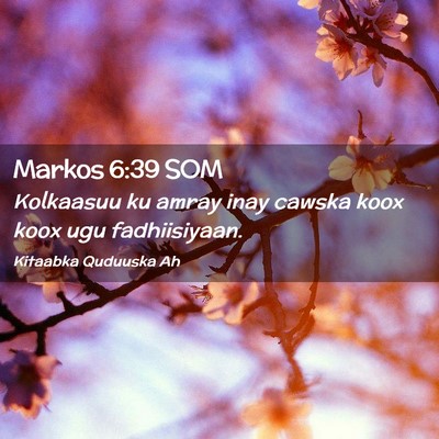 Picture 02 - Markos 6:39 SOM - Kolkaasuu ku amray inay cawska koox koox ugu - Bible Verse Picture