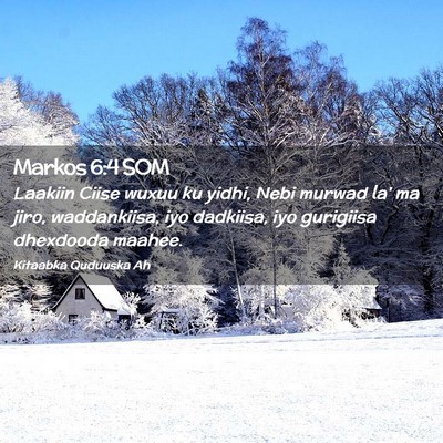 Picture 02 - Markos 6:4 SOM - Laakiin Ciise wuxuu ku yidhi, Nebi murwad la' ma - Bible Verse Picture